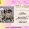 Shirley & Sweety  lustiges Mädchenduo