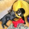 Mara & Maia Dreamteam sucht Familie