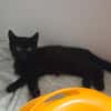 NERA