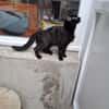 SWEETY