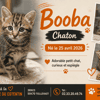 BOOBA réservé