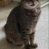 FILOU