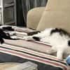 Mika & Soul ~1J suchen Zuhause zusammen