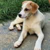 Riesenbaby Remus sucht Familie