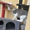 Darko 11 Monate m sucht seinen Balkon