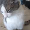 Odin m~1J such liebevolles zuhause