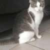 Odin m~1J such liebevolles zuhause