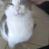 Odin m~1J such liebevolles zuhause