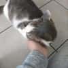 Odin m~1J such liebevolles zuhause