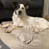🐾 Valentina sucht ihr Zuhause 🐾