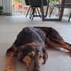 Spocky sucht sein Zuhause (I)