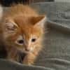 ROUCKY