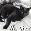 M. Chat