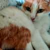 Sally