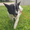 HOSHI sucht ihre Familie