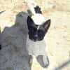 HOSHI sucht ihre Familie