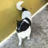 HOSHI sucht ihre Familie