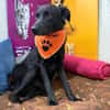 Oliver - stiller Schatten sucht Dich