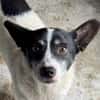 OTTO 3 sucht Liebe und Geborgenheit