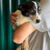 OTTO 3 sucht Liebe und Geborgenheit