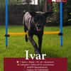 Ivar