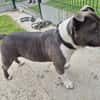 ATHOS QCN