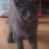 KURO (réservé)