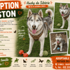 USTON