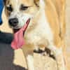 ROCKO (Maria)