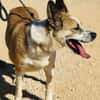 ROCKO (Maria)
