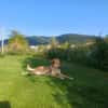 Juna - liebe, feinsinnige und sensible