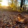 Juna - liebe, feinsinnige und sensible