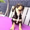 Rory ein Tolles Kerlchen