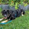 sportlicher Aidan auf PS in 80999