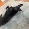 Tommy, Neuanfang gesucht