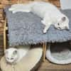 LUKE -sucht Paten und Streicheleinheiten