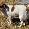 Hannah sucht Familienanschluss