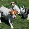 Hannah sucht Familienanschluss