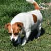 Hannah sucht Familienanschluss