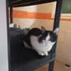 BOUNTY