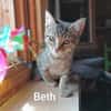 BETH