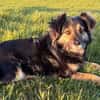Vivi sucht ein liebevolles Zuhause