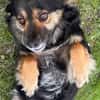 Vivi sucht ein liebevolles Zuhause
