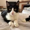 Orion & Luna Dreamteam sucht  Zuhause