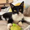 Orion & Luna Dreamteam sucht  Zuhause