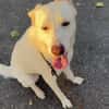 Kelly sucht ein liebevolles zu Hause