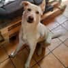 Kelly sucht ein liebevolles zu Hause