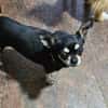 Chica 8 sucht /Zuhause