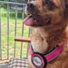 💕Elara 💕 sucht ihre Familie