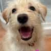 HAPPY (Martina)